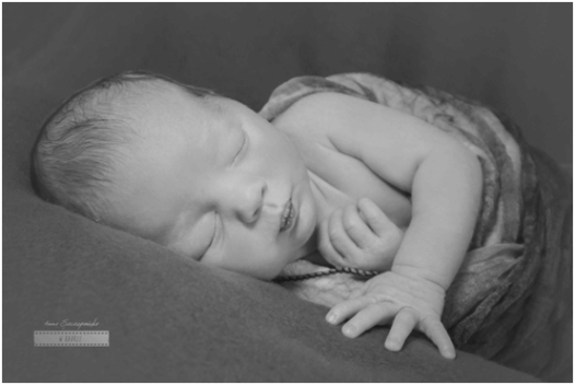 zdjęcia noworodków 1