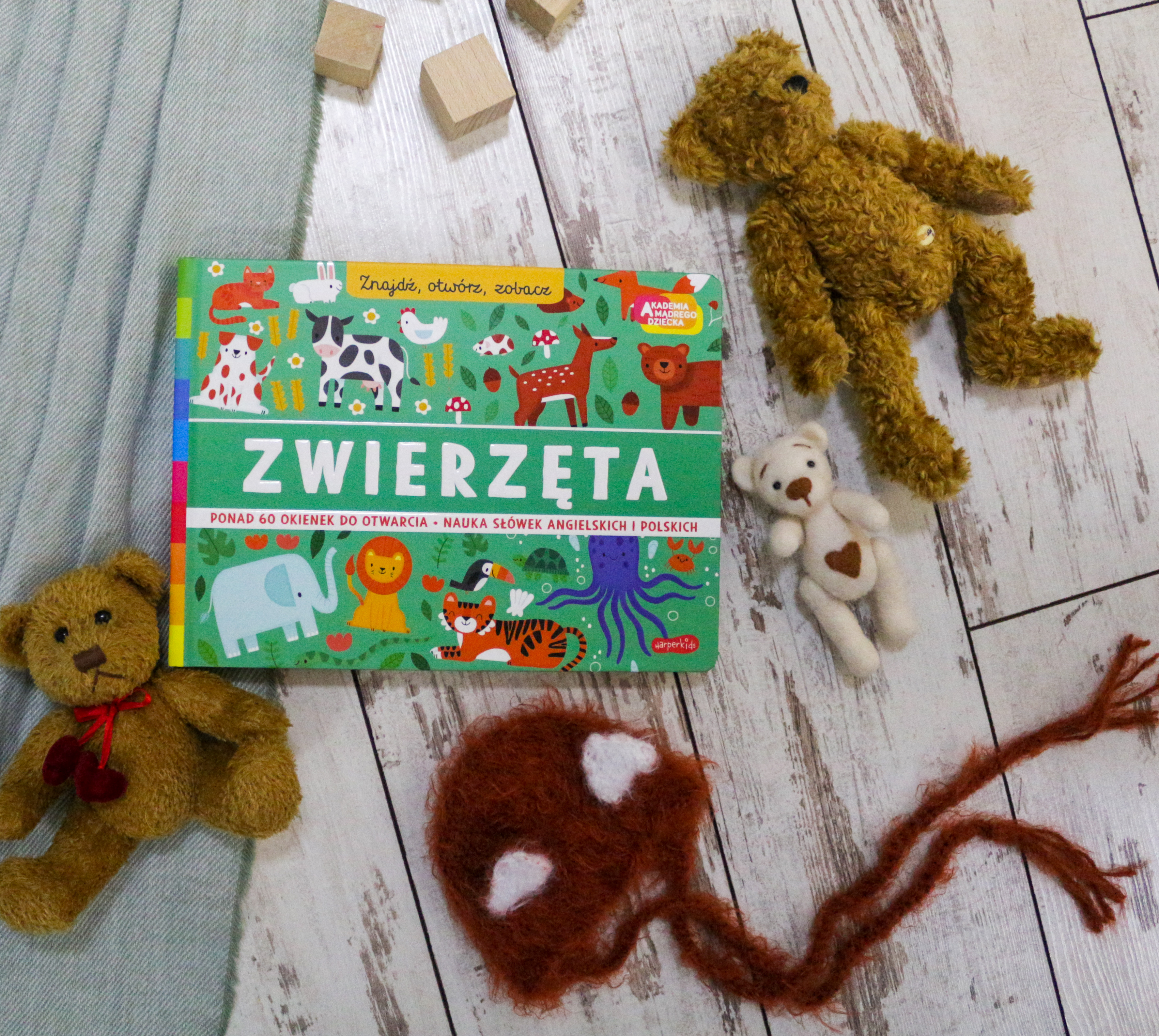 Zwierzęta. Akademia Mądrego Dziecka. Znajdź, otwórz, zobacz