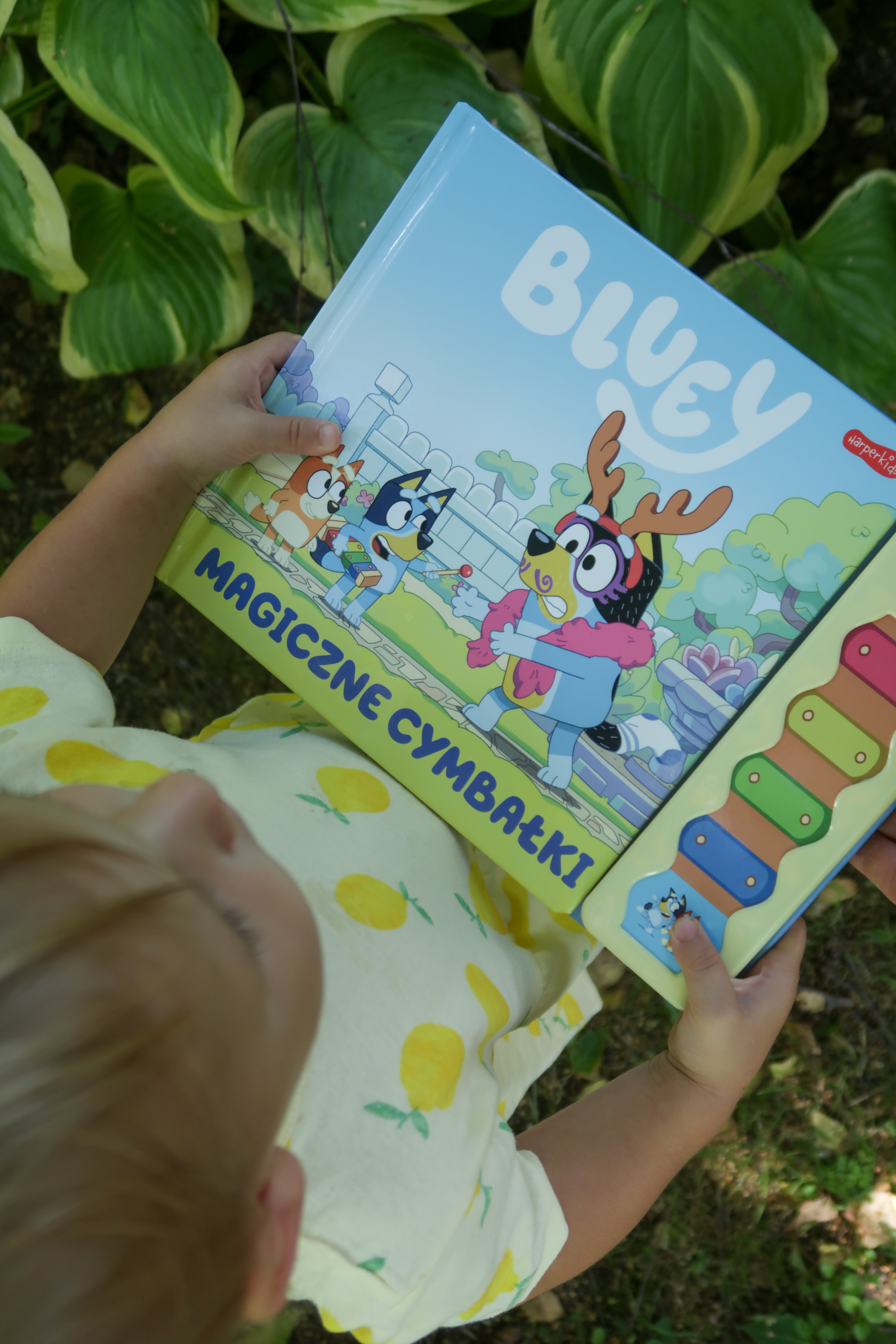 Bluey. Magiczne cymbałki