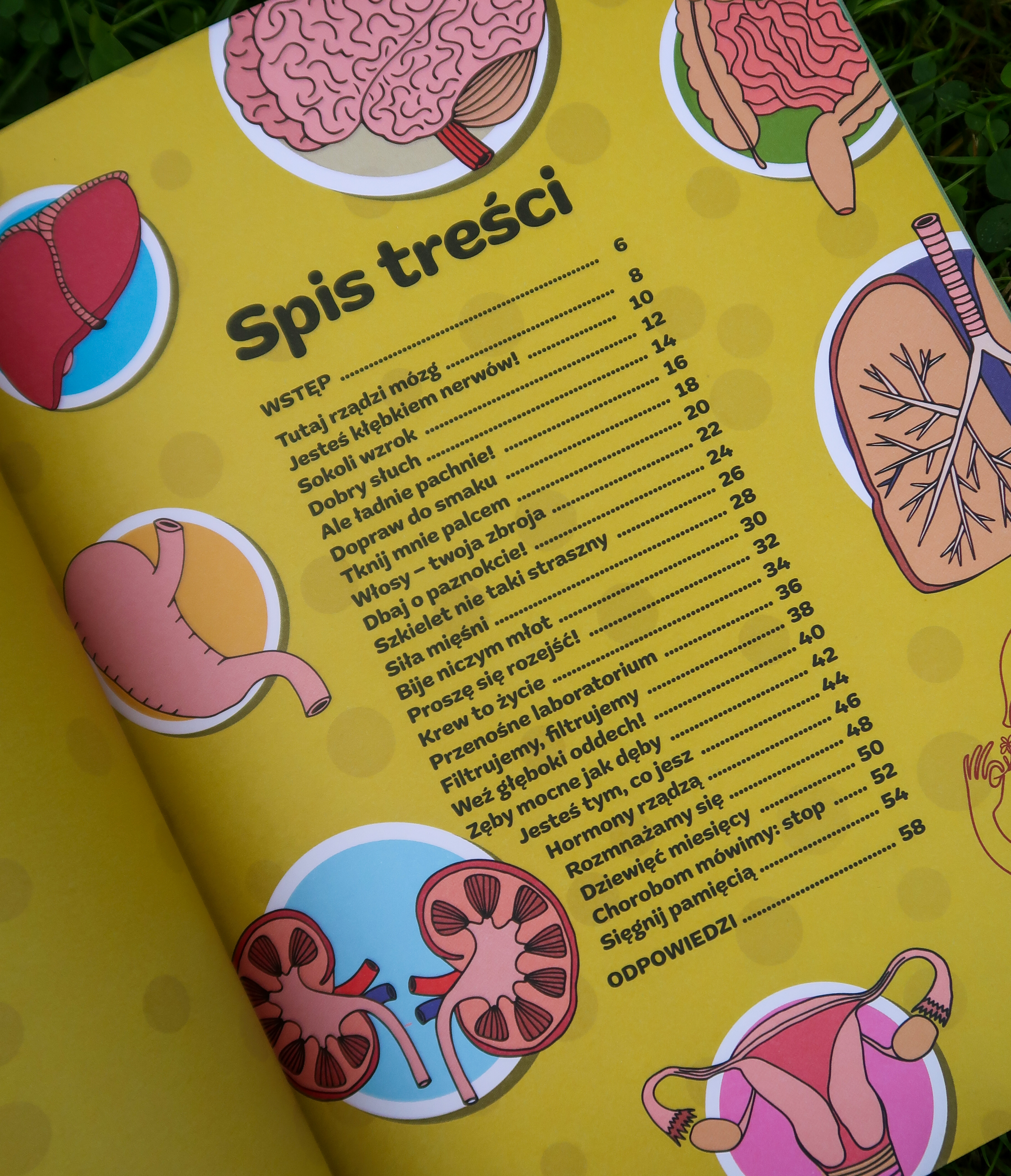 Poznaj ludzkie ciało – idealna książka dla interesującego przedszkolaka