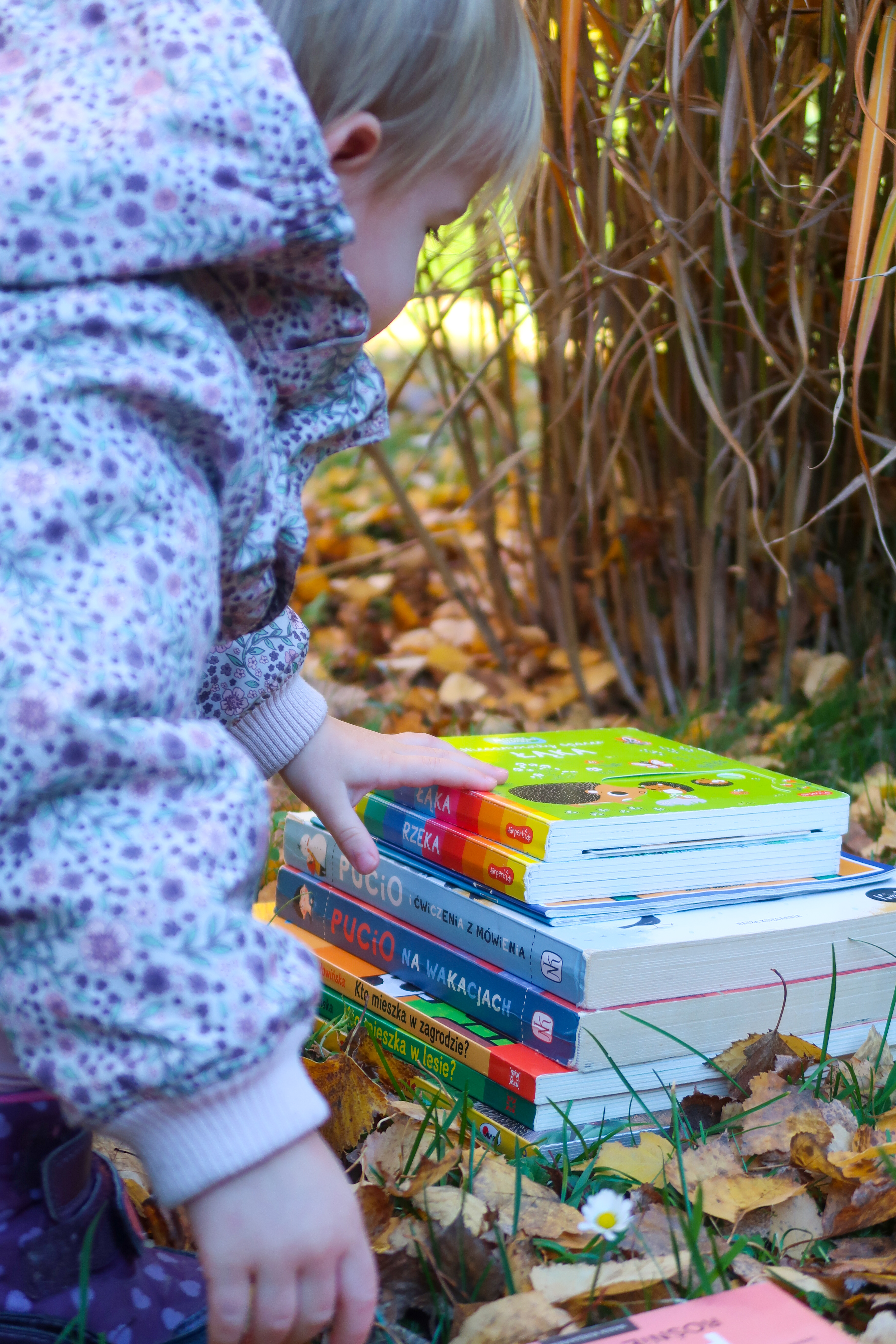 Top 4 polecajki książkowe dla 2-latków