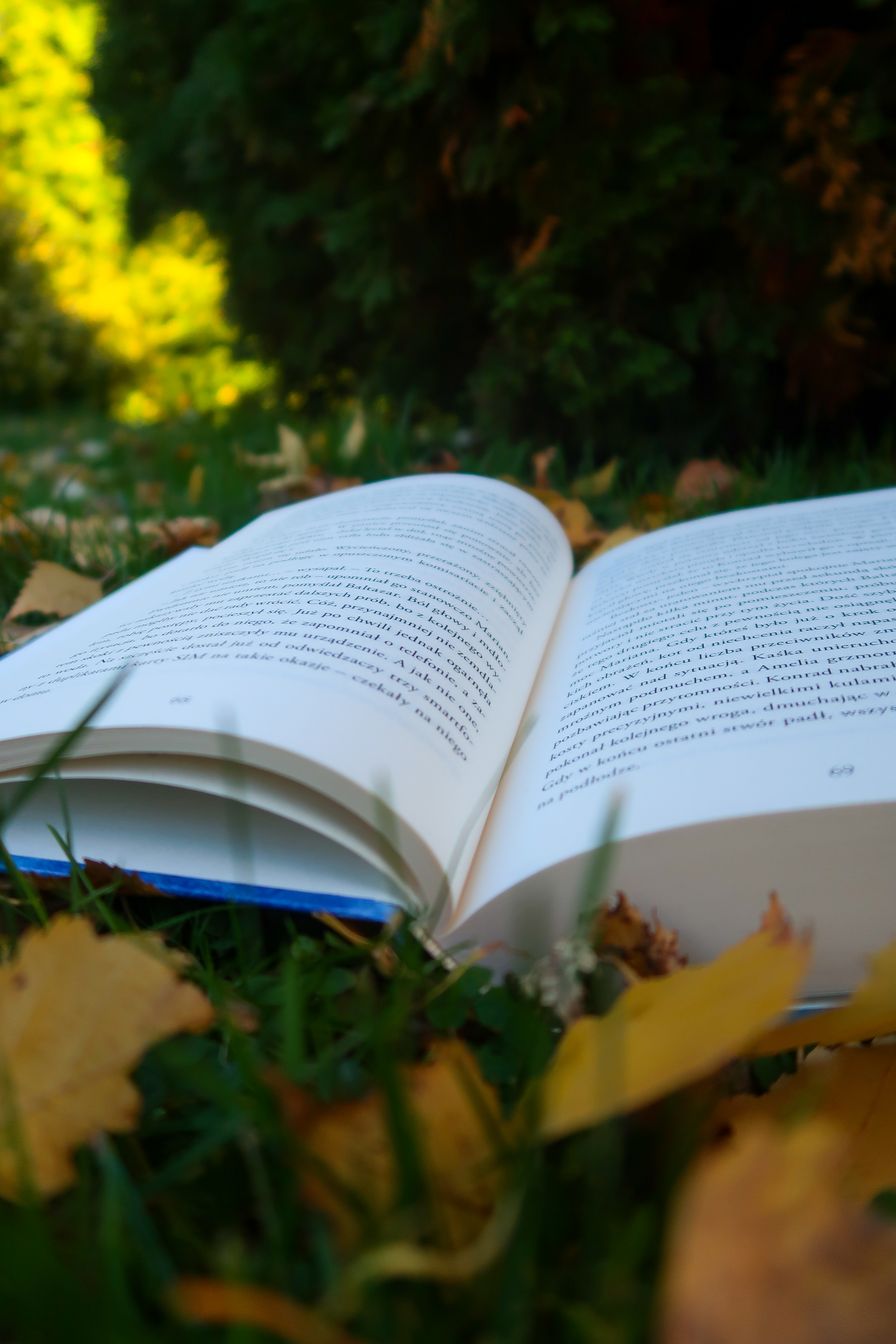 Kot Marian i Przeklęty Kwartet. Tom 4