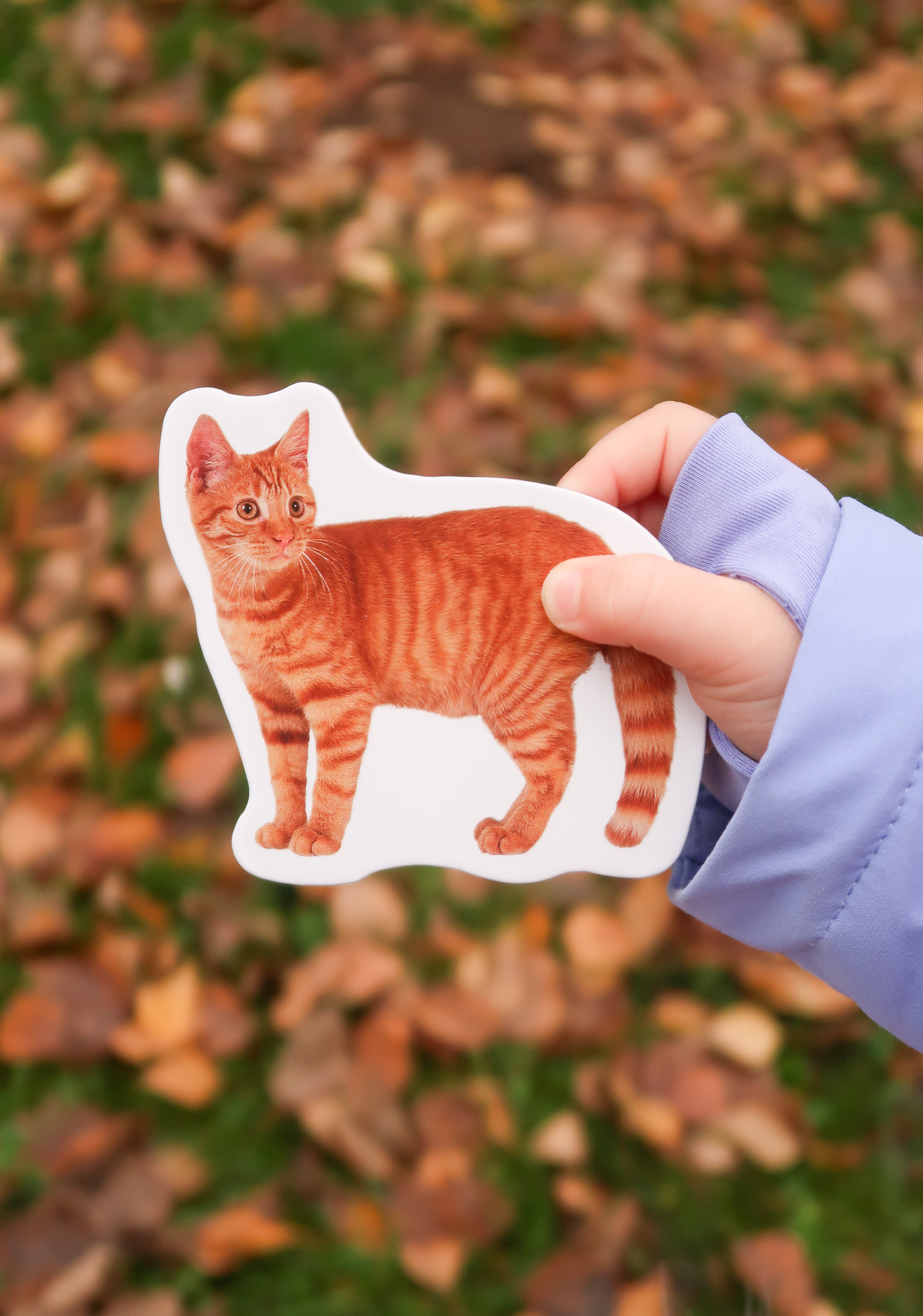 Kolorowy Świat Malucha – Zwierzęta. Pierwsze puzzle