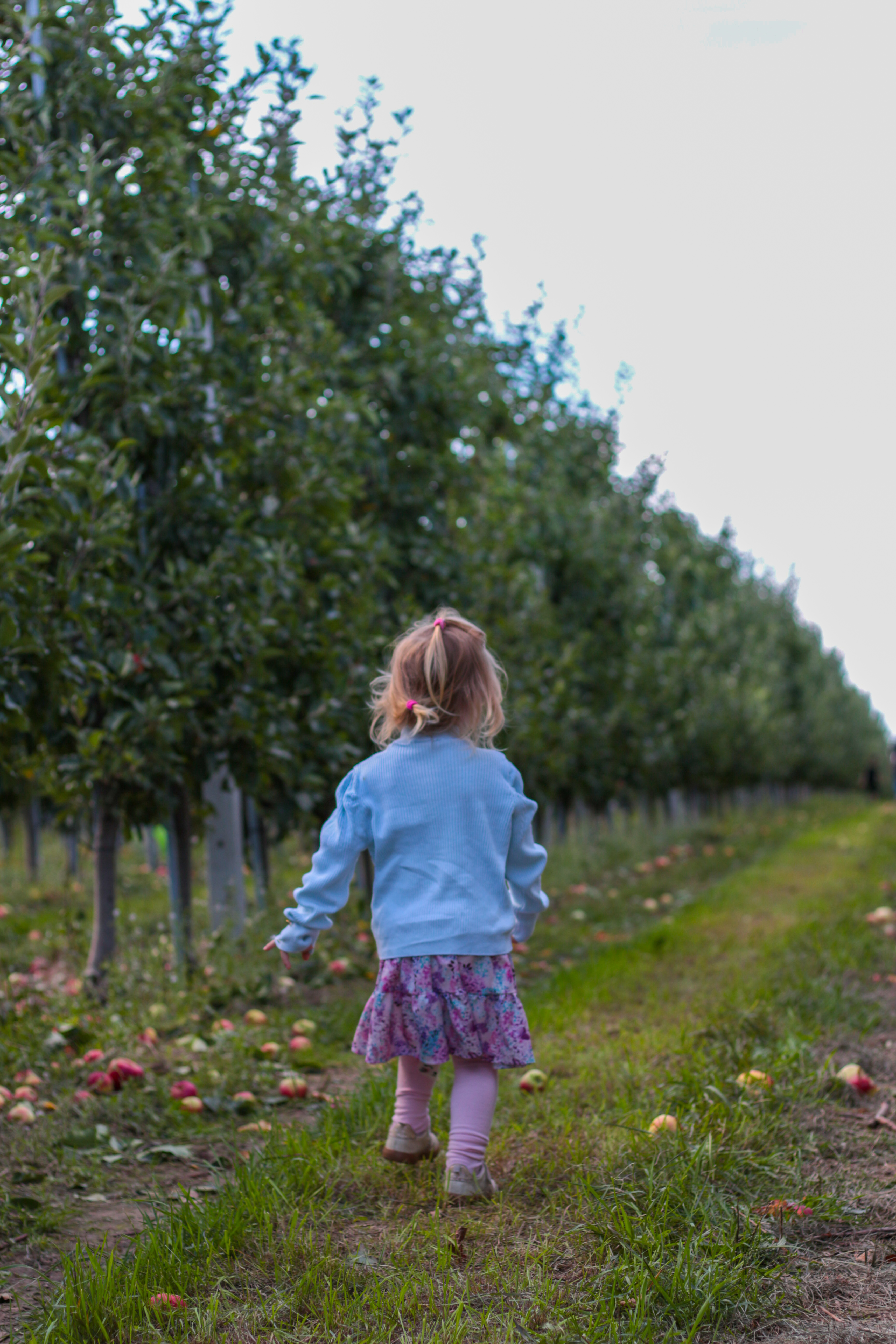 Wrzesień pachnie jabłkami 🍎